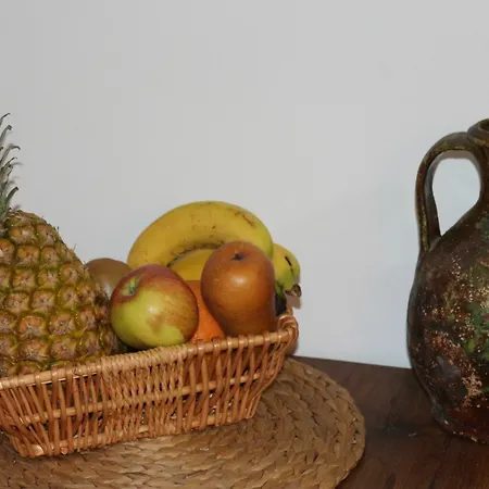 بيت ضيافة Main Square